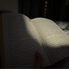 v_tadros